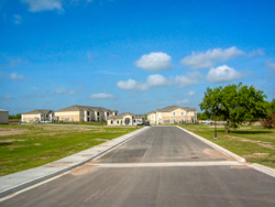 Live-Oak-02